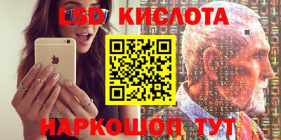 шишки Жуковский