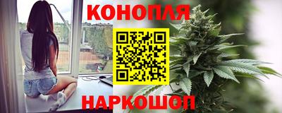шишки Жуковский