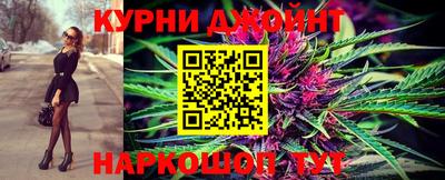 шишки Жуковский
